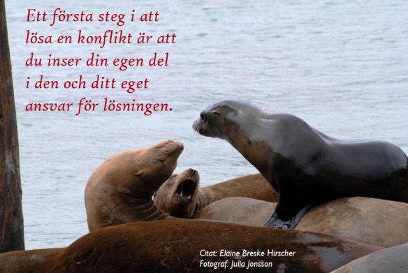 Inse din del av konflikten MedCitat