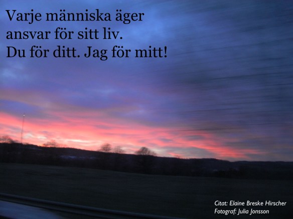 SANYO DIGITAL CAMERA