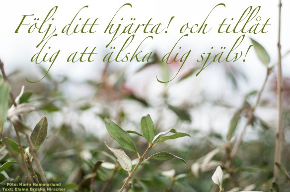 Följ ditt hjärta! och tillåt dig att älska dig själv!