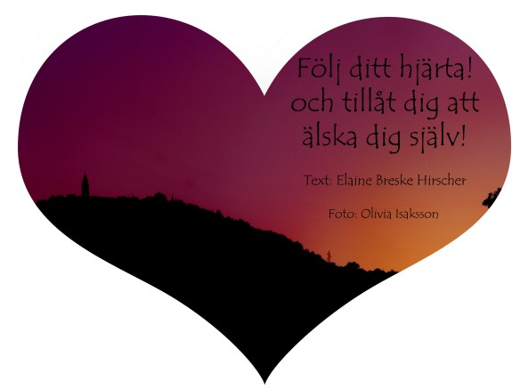 följ ditt hjärta